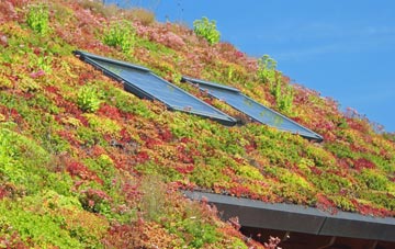 Brettabister living roof systems